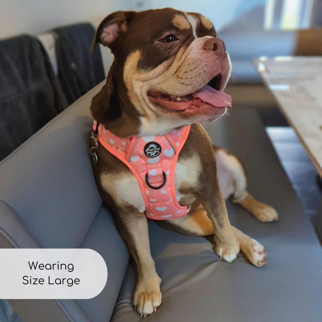 Rugged Rover™ Harness - Peachy Hearts