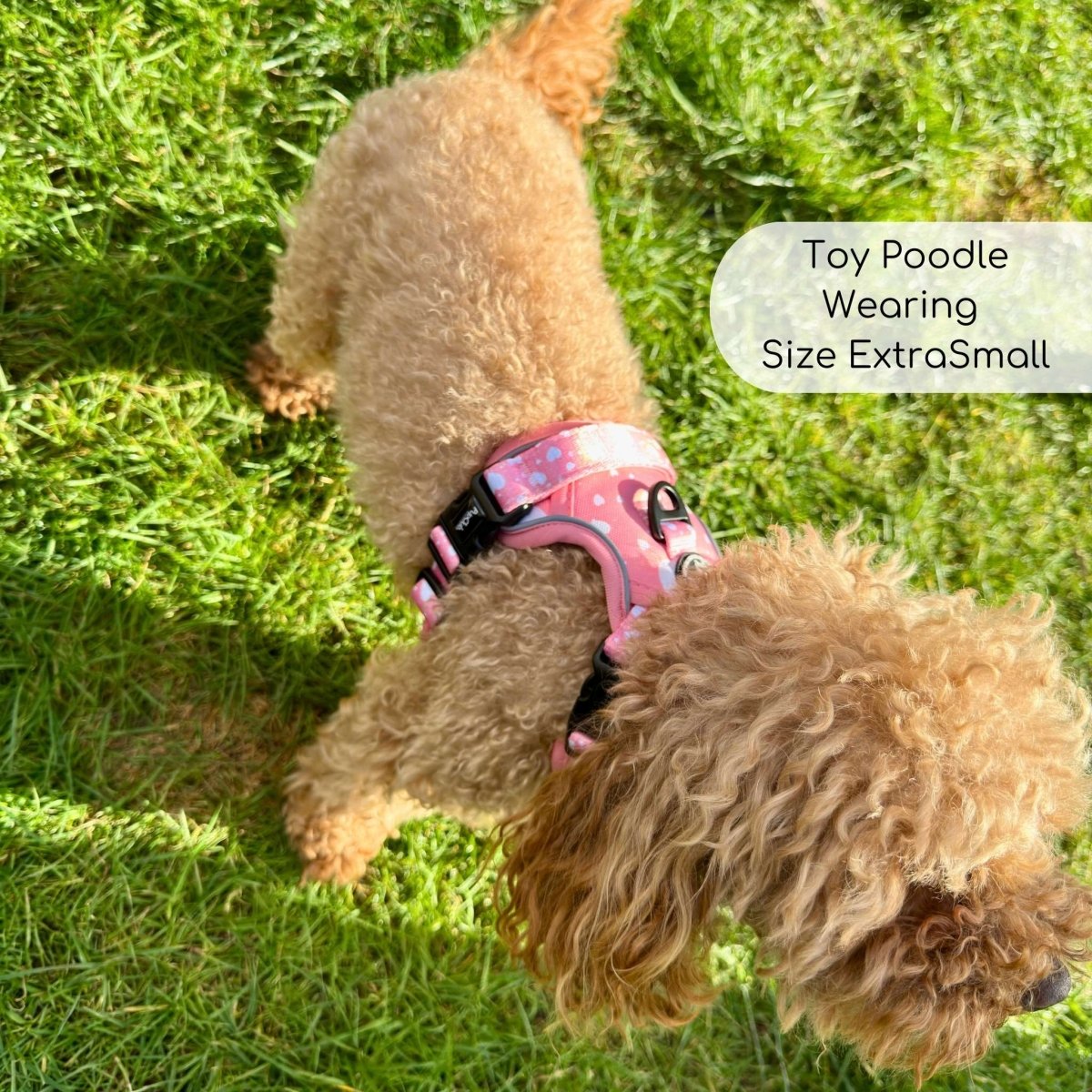 Rugged Rover™ Harness - Peachy Hearts