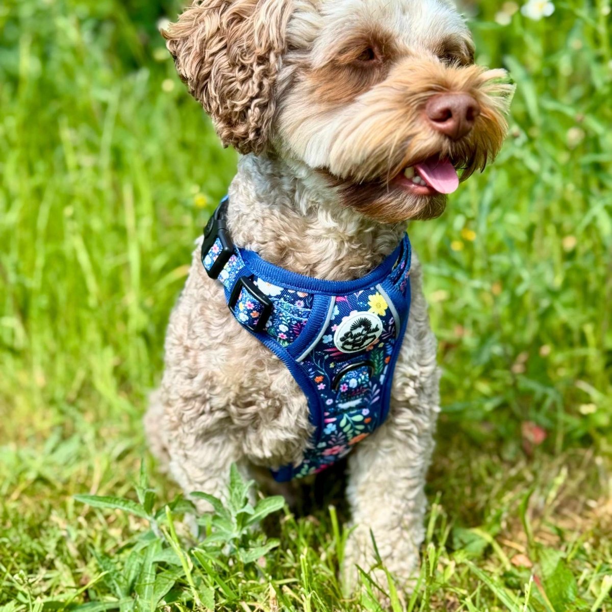 Rugged Rover™ Harness - Summer Meadow